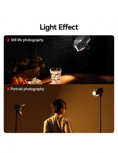 4 Leaf Barndoors With Mini Bowens Mount