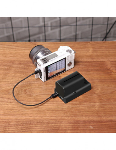 NP F01 Multifunctional NP F Battery...