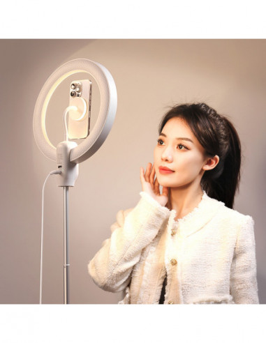 LT030 Magsafe LED Light EU plug