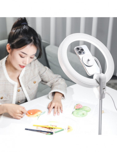 LT030 Magsafe LED Light EU plug