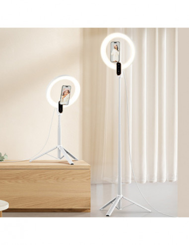 LT030 Magsafe LED Light EU plug