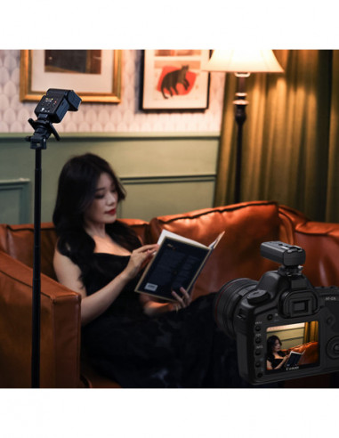 TT 01 Wireless Flash Trigger