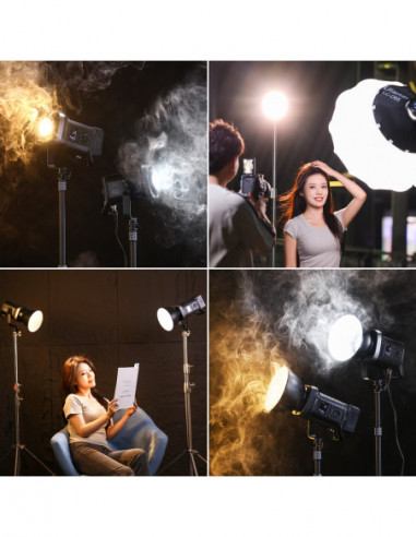 VL 200Bi 200W V Mount COB Video Light