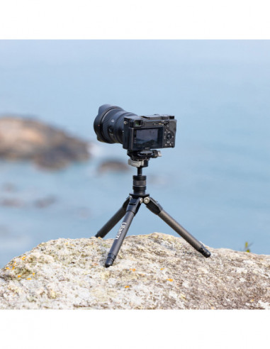 TT35 Hicking Stick Tripod Kit