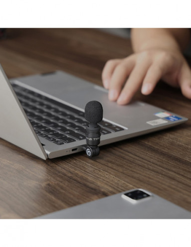 AM23 Type C Mini Mic