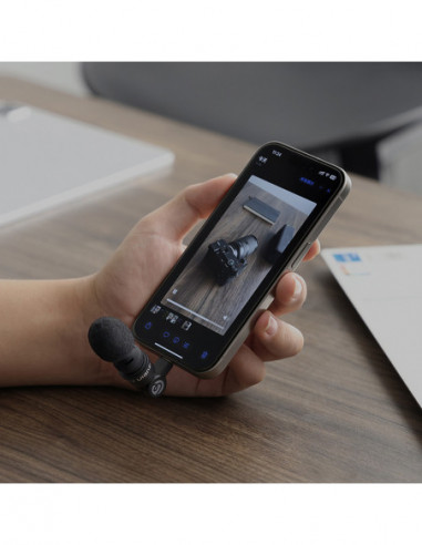 AM23 Type C Mini Mic