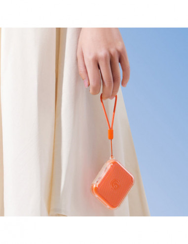 CC01 MINI Memory Card Case