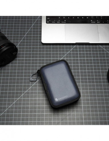 Memory Card Case Aegean Blue