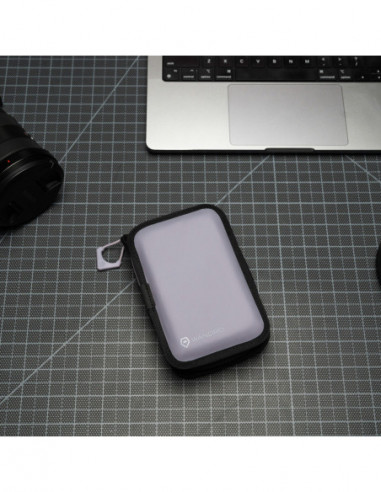 Memory Card Case Uyuni Purple