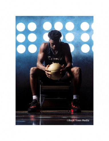 Pro Light Mods 2x3 (Standard)