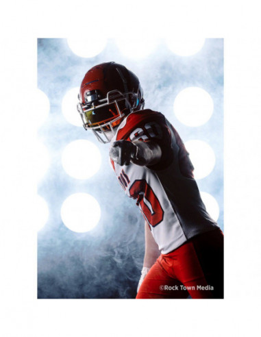 Pro Light Mods 2x3 (Standard)