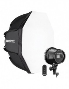 U60 B Bi Color LED 1 Light...