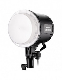 U60 B Bi Color LED 1 Light... 2