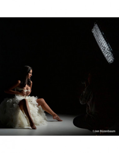 40 Degree Egg Crate Grid for Rapid...