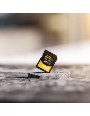 256GB SDXC UHS II V90 Memory Card