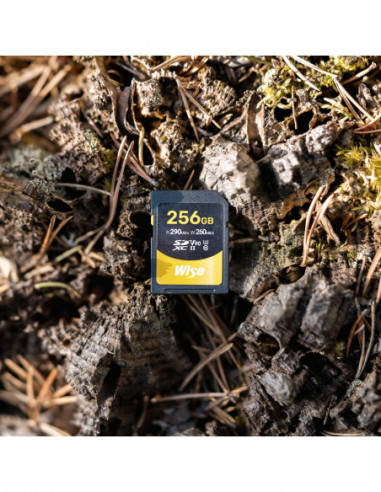 256GB SDXC UHS II V90 Memory Card