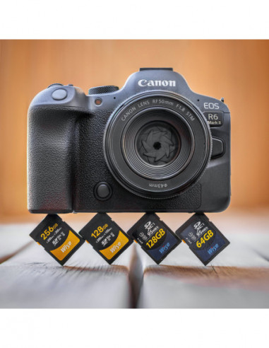 256GB SDXC UHS II V60 Memory Card