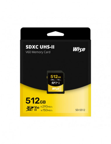 256GB SDXC UHS II V60 Memory Card
