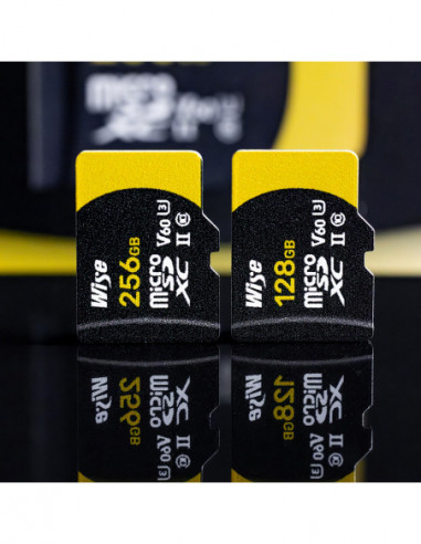 256GB microSDXC UHS II V60 Memory Card