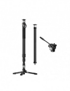 PINETA Carbon Fiber...