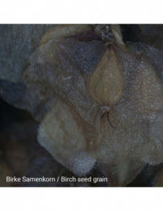 NATIONAL GEOGRAPHIC Stereo...