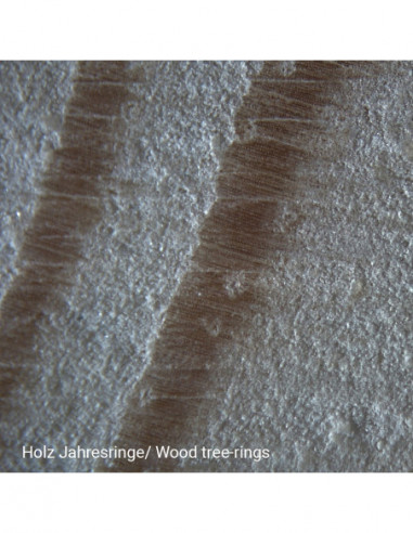 NATIONAL GEOGRAPHIC Stereo Microscope